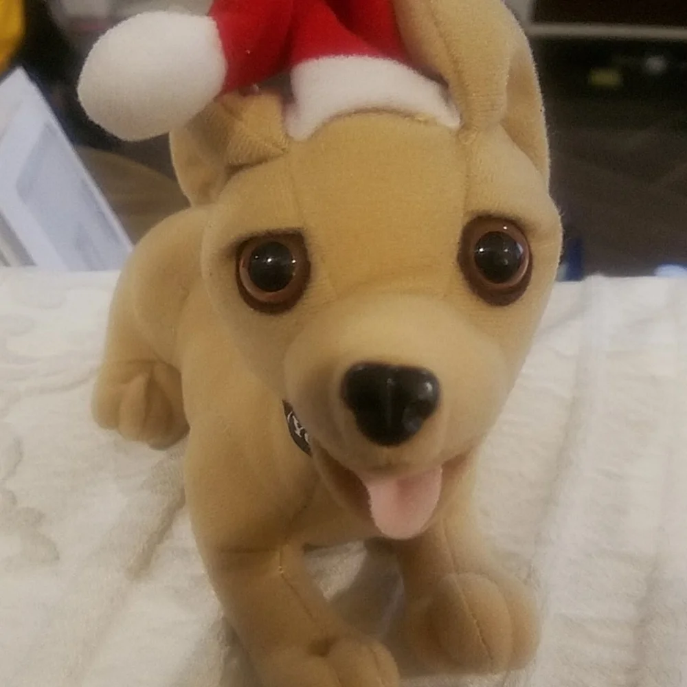 Yo quiero Santa Taco Bell Christmas dog